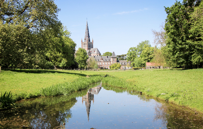 Ruiming slib en sanering vijver en gracht Remi Dewittestraat