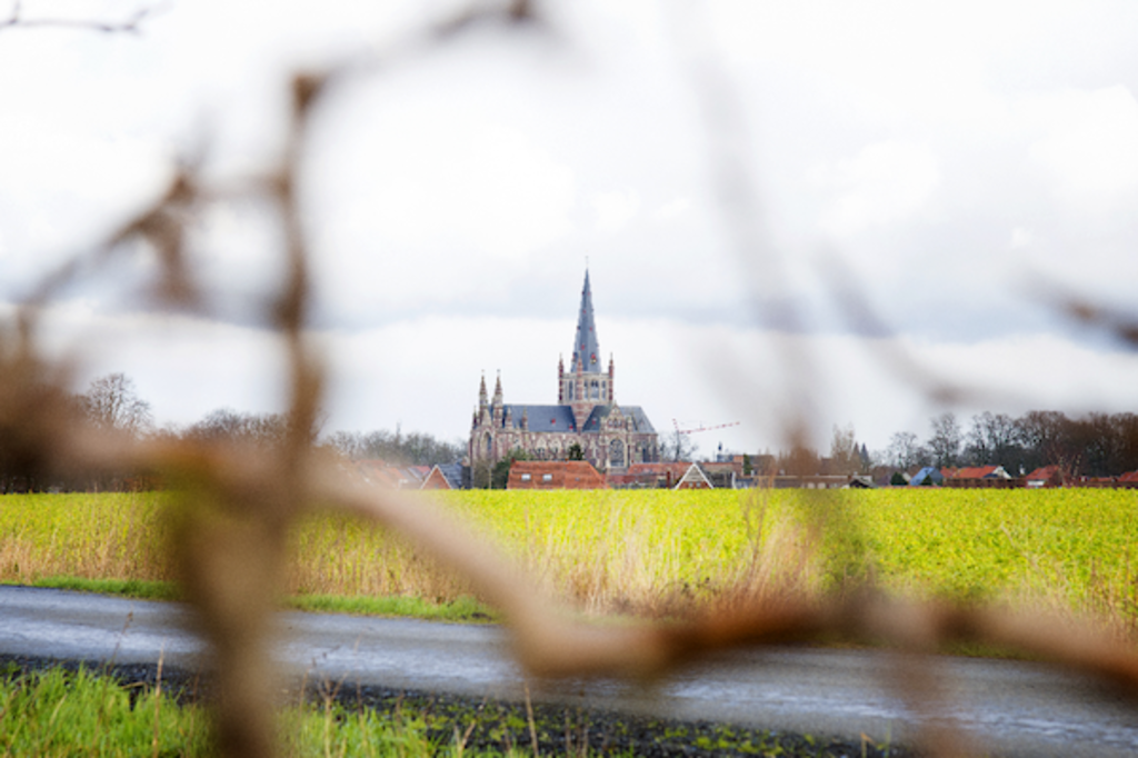 Dadizele - Basiliek