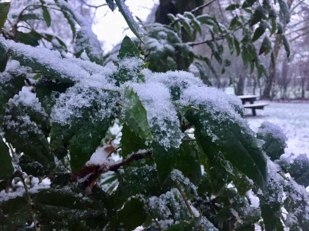 Moorslede in de sneeuw