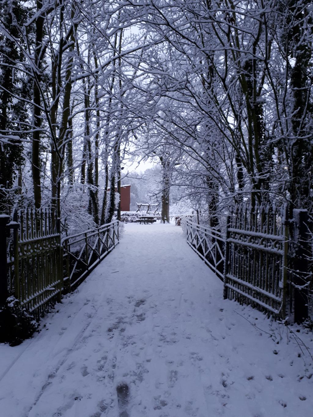 Moorslede in de sneeuw