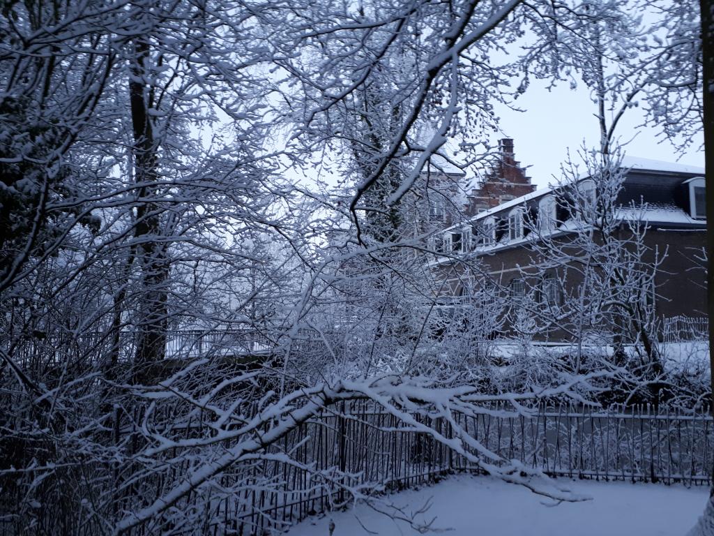 Moorslede in de sneeuw