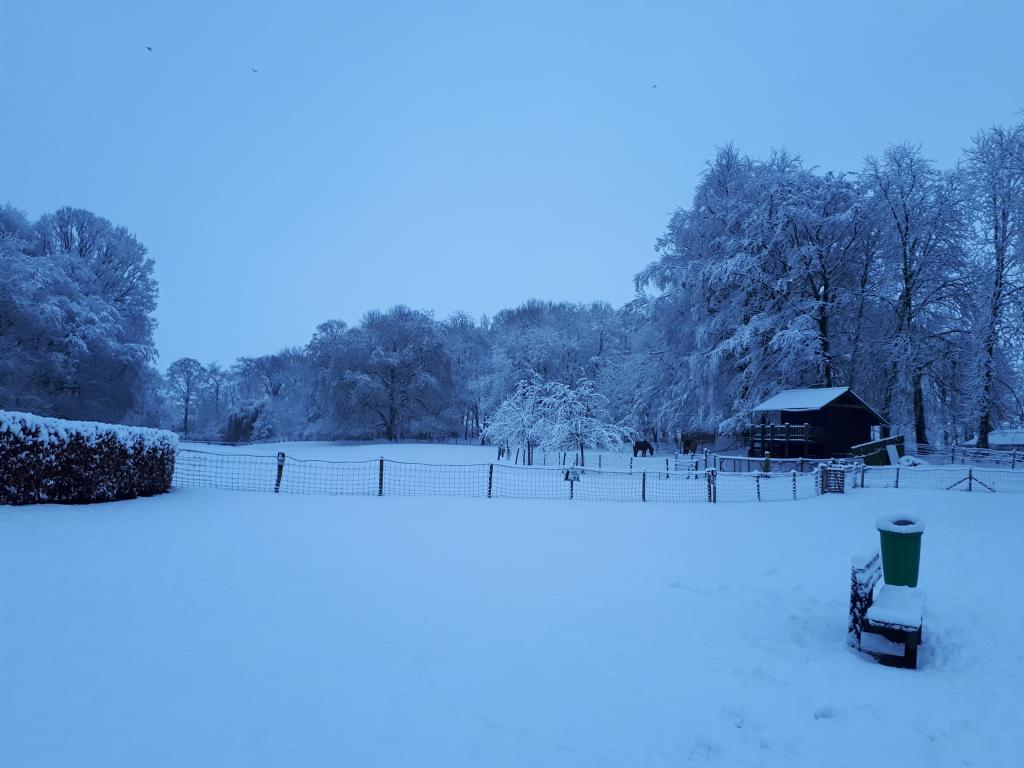 Moorslede in de sneeuw