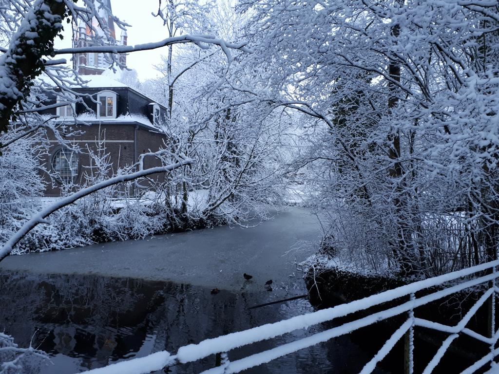 Moorslede in de sneeuw