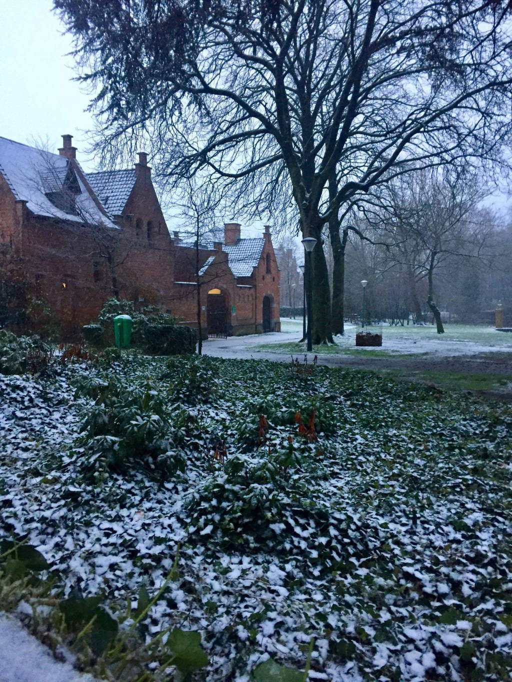 Moorslede in de sneeuw