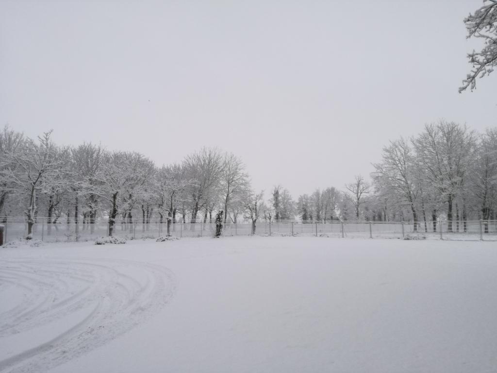 Moorslede in de sneeuw