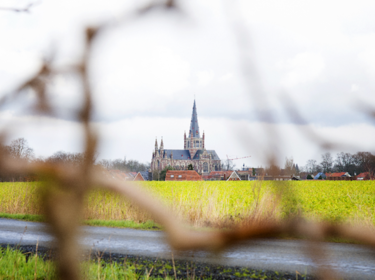 Dadizele - Basiliek