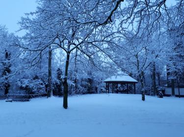 Moorslede in de sneeuw