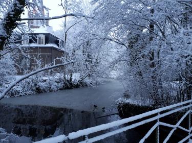 Moorslede in de sneeuw