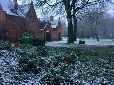 Moorslede in de sneeuw