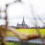 Dadizele - Basiliek